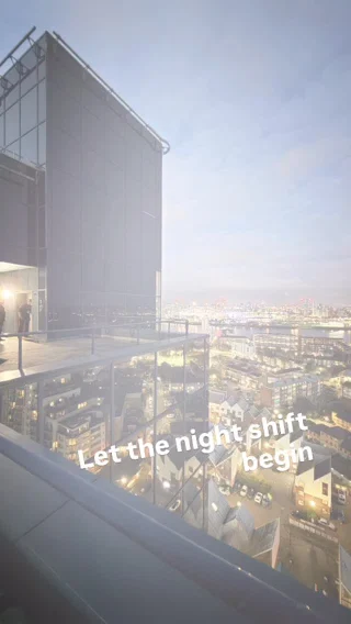 Isle of Dogs project